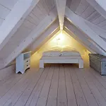Modernes In Der Naehe Des Waldes In *