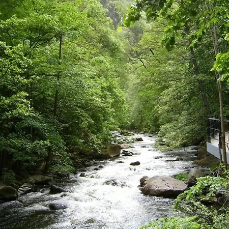 Modernes In Der Naehe Des Waldes In