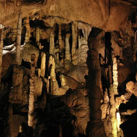 Apartman Modernes Ferienhaus In Der Naehe Des Waldes In Thale *