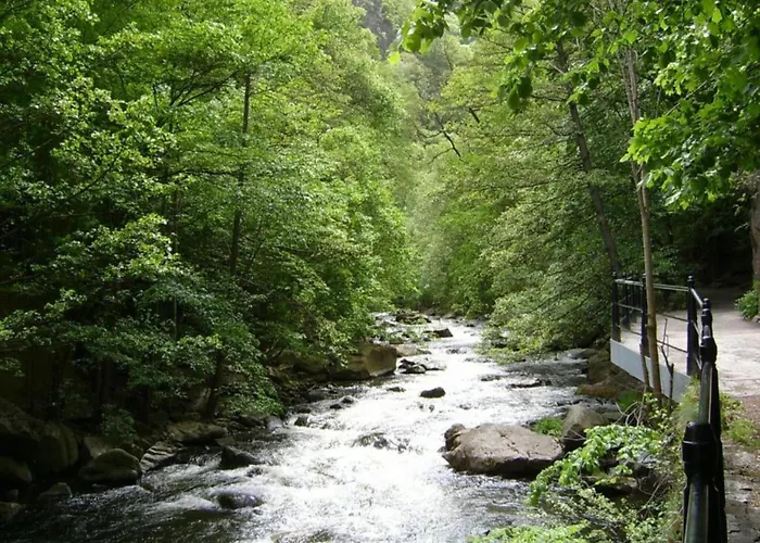 Modernes Ferienhaus In Der Naehe Des Waldes In Thale